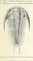 An illustration from La Terra, trattato popolare di geografia universale per G. Marinelli ed altri scienziati italiani, etc. [With illustrations and maps (1898)