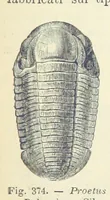 An illustration from La Terra, trattato popolare di geografia universale per G. Marinelli ed altri scienziati italiani, etc. [With illustrations and maps (1898)