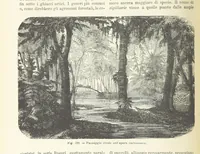 An illustration from La Terra, trattato popolare di geografia universale per G. Marinelli ed altri scienziati italiani, etc. [With illustrations and maps (1898)