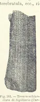 Picture 346 of 502 from La Terra, trattato popolare di geografia universale per G. Marinelli ed altri scienziati italiani, etc. [With illustrations and maps (1898), leaf 589
