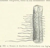 Picture 347 of 502 from La Terra, trattato popolare di geografia universale per G. Marinelli ed altri scienziati italiani, etc. [With illustrations and maps (1898), leaf 589