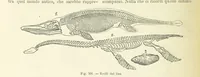 An illustration from La Terra, trattato popolare di geografia universale per G. Marinelli ed altri scienziati italiani, etc. [With illustrations and maps (1898)