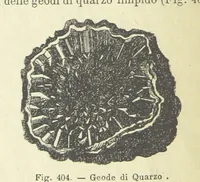 Picture 367 of 502 from La Terra, trattato popolare di geografia universale per G. Marinelli ed altri scienziati italiani, etc. [With illustrations and maps (1898), leaf 620