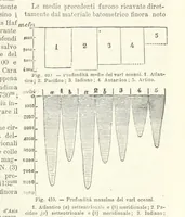 Picture 371 of 502 from La Terra, trattato popolare di geografia universale per G. Marinelli ed altri scienziati italiani, etc. [With illustrations and maps (1898), leaf 647