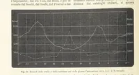 Picture 38 of 502 from La Terra, trattato popolare di geografia universale per G. Marinelli ed altri scienziati italiani, etc. [With illustrations and maps (1898), leaf 66