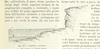 Picture 381 of 502 from La Terra, trattato popolare di geografia universale per G. Marinelli ed altri scienziati italiani, etc. [With illustrations and maps (1898), leaf 661