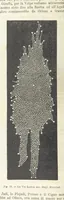 Picture 39 of 502 from La Terra, trattato popolare di geografia universale per G. Marinelli ed altri scienziati italiani, etc. [With illustrations and maps (1898), leaf 68