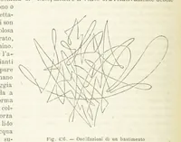 Picture 394 of 502 from La Terra, trattato popolare di geografia universale per G. Marinelli ed altri scienziati italiani, etc. [With illustrations and maps (1898), leaf 696