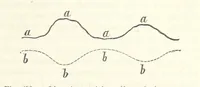 An illustration from La Terra, trattato popolare di geografia universale per G. Marinelli ed altri scienziati italiani, etc. [With illustrations and maps (1898)
