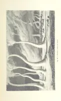 Picture 417 of 502 from La Terra, trattato popolare di geografia universale per G. Marinelli ed altri scienziati italiani, etc. [With illustrations and maps (1898), leaf 807