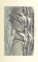 An illustration from La Terra, trattato popolare di geografia universale per G. Marinelli ed altri scienziati italiani, etc. [With illustrations and maps (1898)
