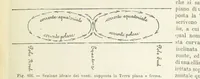 Picture 423 of 502 from La Terra, trattato popolare di geografia universale per G. Marinelli ed altri scienziati italiani, etc. [With illustrations and maps (1898), leaf 829