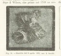 Picture 53 of 502 from La Terra, trattato popolare di geografia universale per G. Marinelli ed altri scienziati italiani, etc. [With illustrations and maps (1898), leaf 84