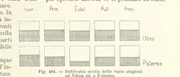 Picture 438 of 502 from La Terra, trattato popolare di geografia universale per G. Marinelli ed altri scienziati italiani, etc. [With illustrations and maps (1898), leaf 859