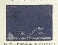 Picture 68 of 502 from La Terra, trattato popolare di geografia universale per G. Marinelli ed altri scienziati italiani, etc. [With illustrations and maps (1898), leaf 93