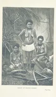 An illustration from The Cruise of the “Rosario” amongst the New Hebrides and Santa Cruz Islands. ... With map and illustrations (1873)