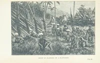 An illustration from The Cruise of the “Rosario” amongst the New Hebrides and Santa Cruz Islands. ... With map and illustrations (1873)