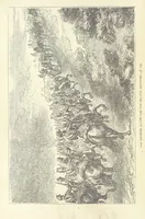 An illustration from The Reverse of the Shield; or, the Adventures of Grenville Le Marchant during the Franco-Prussian War ... With illustrations, etc (1879)