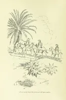 An illustration from Newton Forster ... With illustrations by E. J. Sullivan, and an introduction by David Hannay (1897)