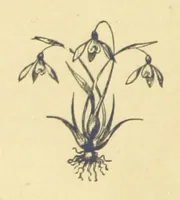 An illustration from Mrs. Haycock's Chronicles: a story of life-service (1877)