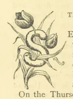 An illustration from Mrs. Haycock's Chronicles: a story of life-service (1877)