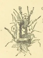 An illustration from Mrs. Haycock's Chronicles: a story of life-service (1877)