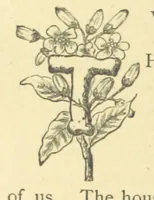 An illustration from Mrs. Haycock's Chronicles: a story of life-service (1877)