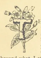 An illustration from Mrs. Haycock's Chronicles: a story of life-service (1877)