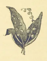 Picture 3 of 22 from Mrs. Haycock's Chronicles: a story of life-service (1877), leaf 18