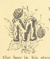 An illustration from Mrs. Haycock's Chronicles: a story of life-service (1877)
