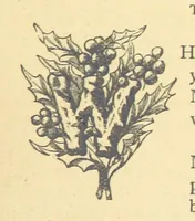 An illustration from Mrs. Haycock's Chronicles: a story of life-service (1877)