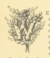Picture 8 of 22 from Mrs. Haycock's Chronicles: a story of life-service (1877), leaf 57