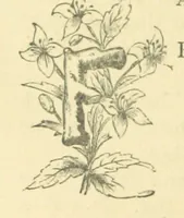 An illustration from Mrs. Haycock's Chronicles: a story of life-service (1877)