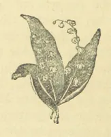 An illustration from Mrs. Haycock's Chronicles: a story of life-service (1877)