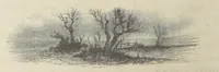 An illustration from Stories of Irish Life ... With illustrations, etc (1878)