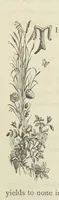 An illustration from Stories of Irish Life ... With illustrations, etc (1878)