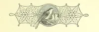 An illustration from Guide, Philosopher, and Friend. [A novel (1884)