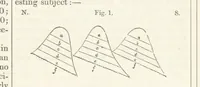 An illustration from The British Colonies; their history, extent, condition, and resources (1851)