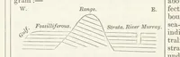 An illustration from The British Colonies; their history, extent, condition, and resources (1851)