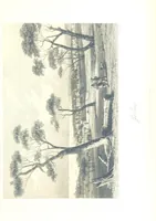 An illustration from The British Colonies; their history, extent, condition, and resources (1851)