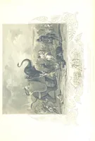 An illustration from The British Colonies; their history, extent, condition, and resources (1851)