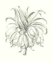 An illustration from By Solent and Danube. Poems and ballads (1885)