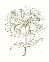 An illustration from By Solent and Danube. Poems and ballads (1885)