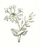 An illustration from By Solent and Danube. Poems and ballads (1885)
