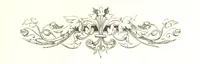 An illustration from Our Cousins in Australia; or, Reminiscences of S. Norris (1867)