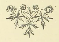 An illustration from Half an Hour with a good author. By Himself (1872)