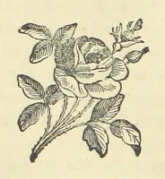 An illustration from Half an Hour with a good author. By Himself (1872)