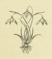 Picture 2 of 8 from Half an Hour with a good author. By Himself (1872), leaf 79