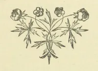 An illustration from Half an Hour with a good author. By Himself (1872)
