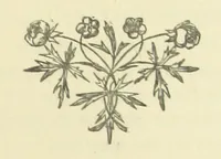 An illustration from Half an Hour with a good author. By Himself (1872)